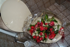 2010 How to preserve flowers